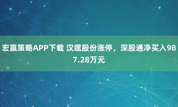 宏赢策略APP下载 汉缆股份涨停，深股通净买入987.28万元